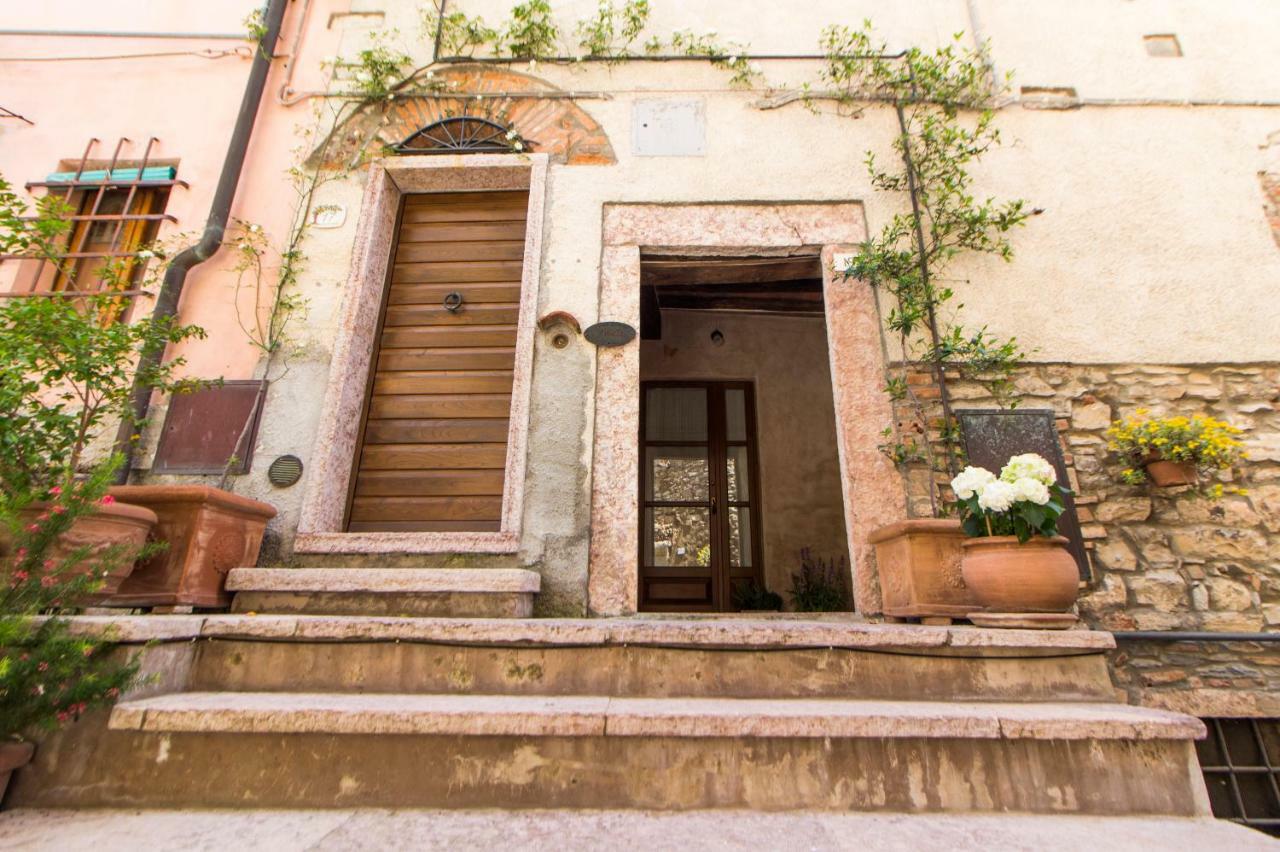 Le Dame Del Borgo Daire Sassetta Dış mekan fotoğraf