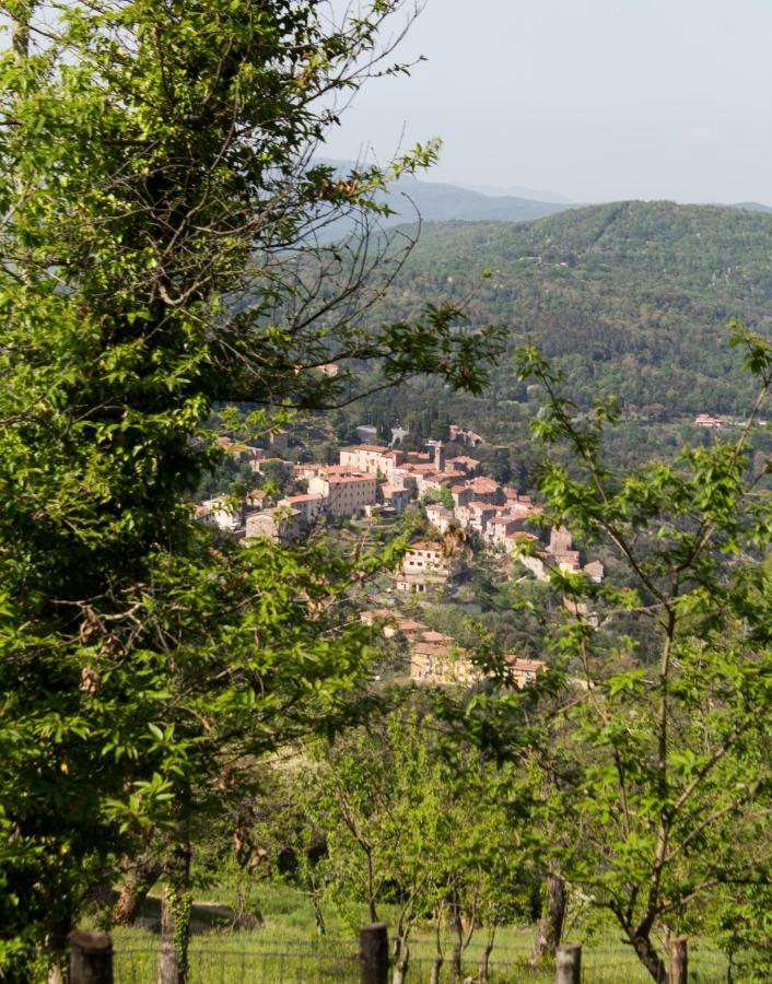 Le Dame Del Borgo Daire Sassetta Dış mekan fotoğraf