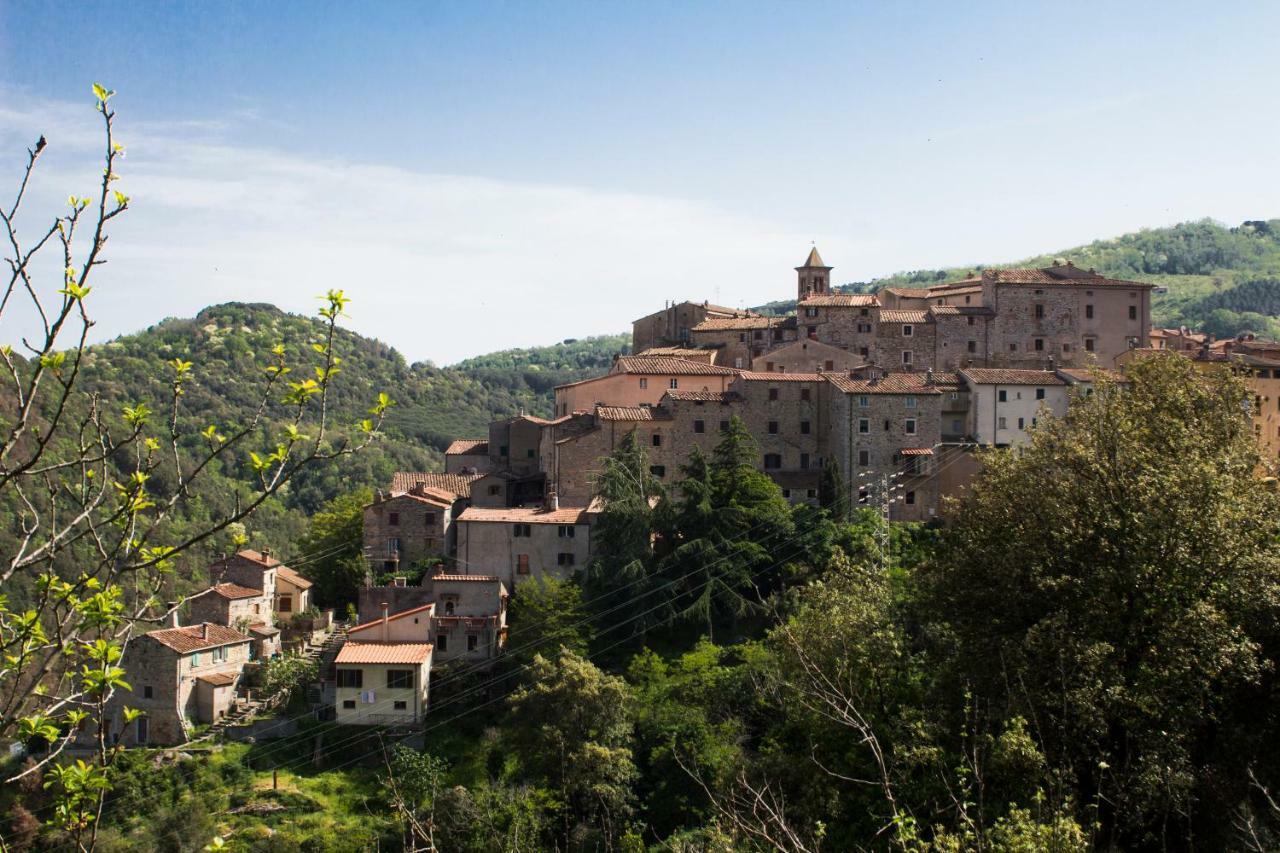 Le Dame Del Borgo Daire Sassetta Dış mekan fotoğraf